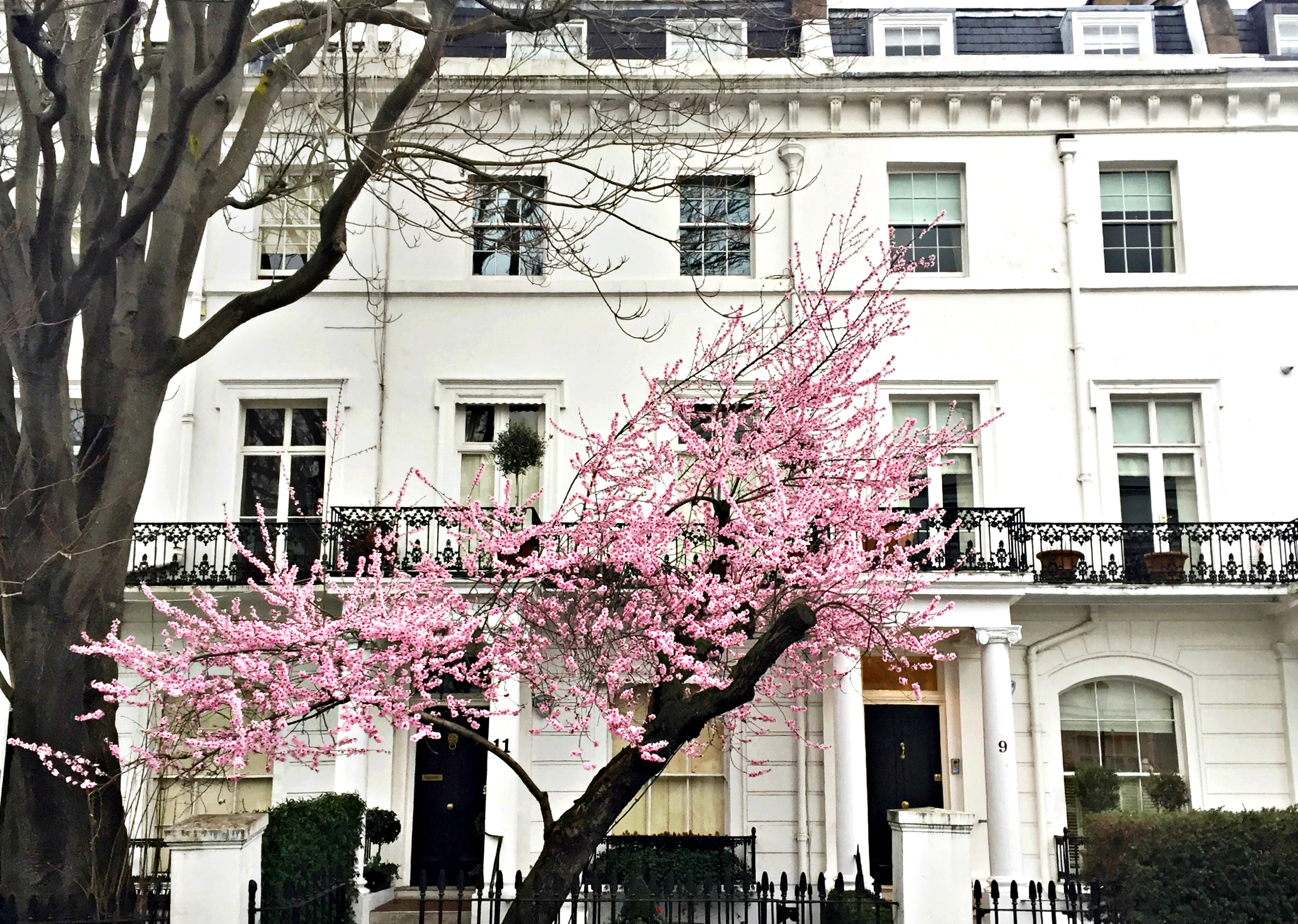 London Spring