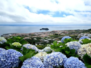 Vila Franca - Azores 9