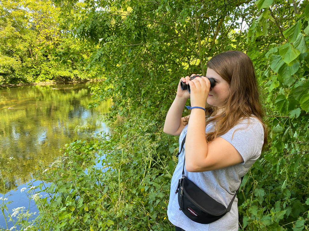 Bird watching marshes