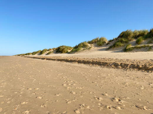 norfolk beach dunes