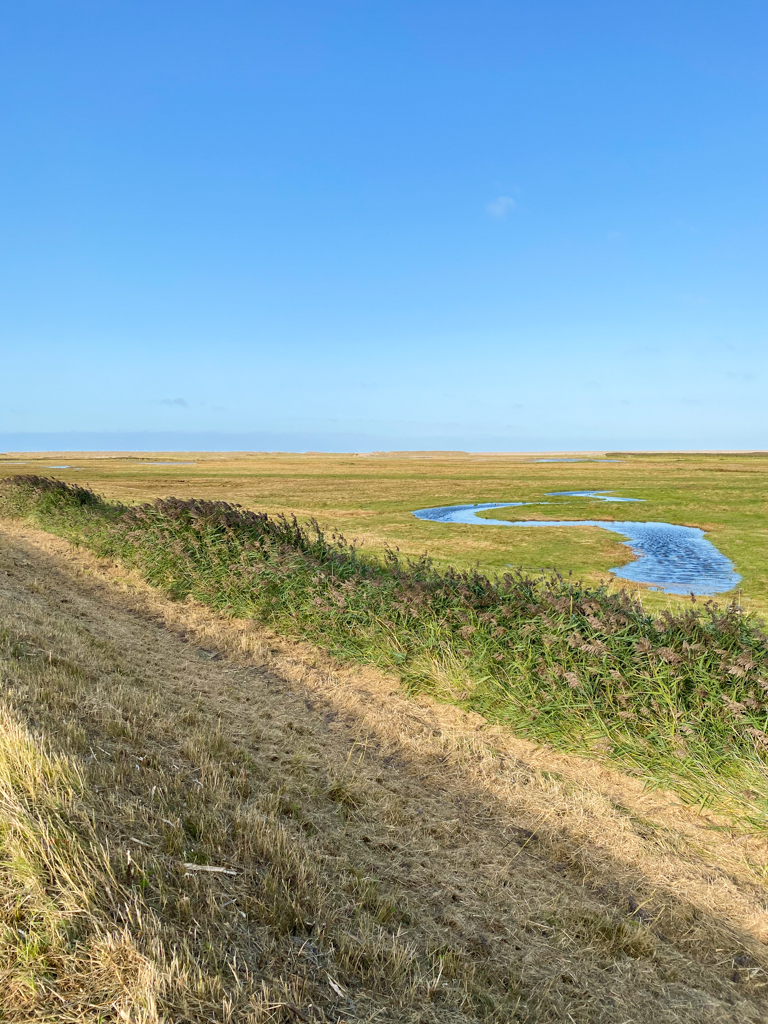 Cley marshes